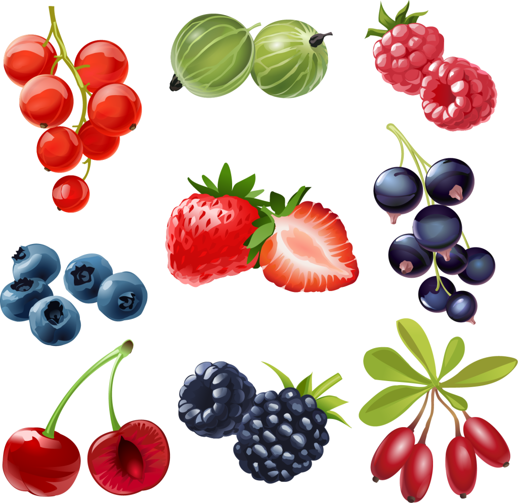 cartoon fruits – Honeypng